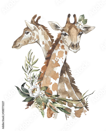 Photography Watercolor couple of cute giraffes with flowers