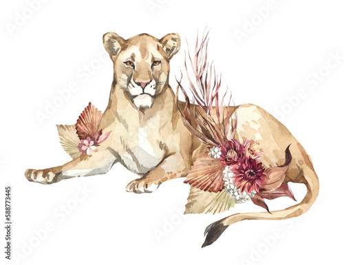 Watercolor lioness with boho flowers. African animlas clipart. World Zoo nature illustration for kids products. World fauna and flora. Hand drawn wild cat with dried bouquet print on transparent
