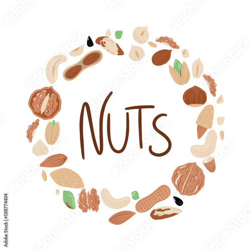 Big set of nuts and seeds in circle form. Various nuts isolated on white, pecan, macadamia, brazil nut, walnut, almonds, hazelnuts, pistachios, cashews, peanuts. Top view vector flat. Vector