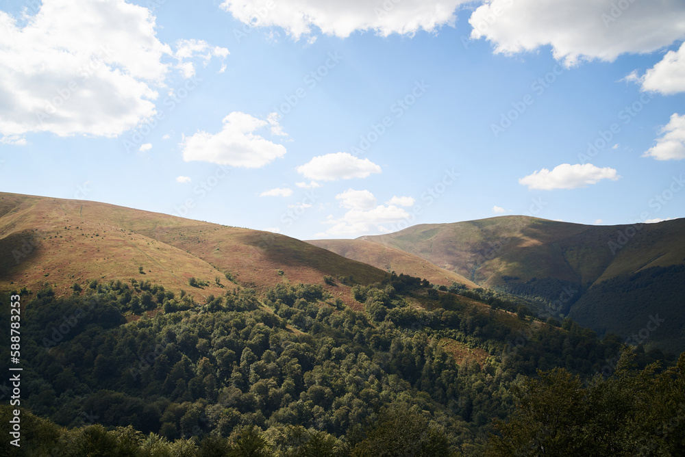 Natural landscape in the mountains in summer. Sunny rural scenery with bright blue sky. Nature protection concept.