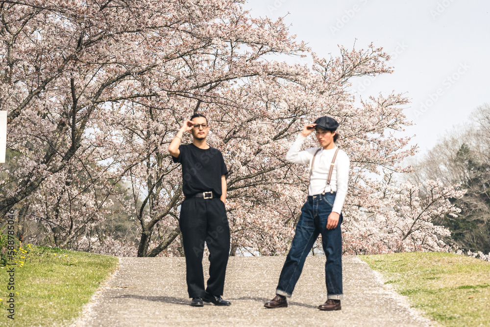 岡山県北部の桜で写真を撮る男性たち３