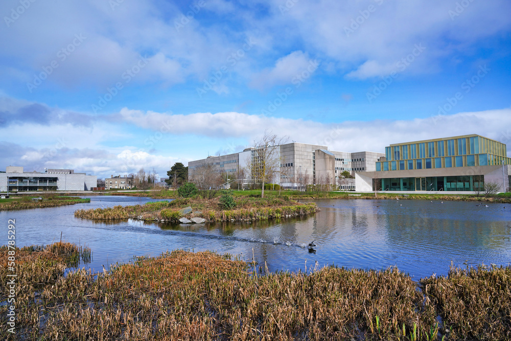 Suburban campus of University College, Dublin, with modern buildings and natural wetlands