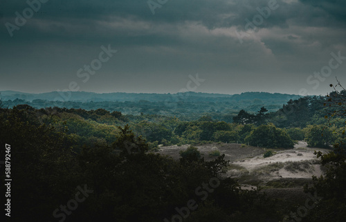 Schöne Dünenlandschaft an der Nordsee