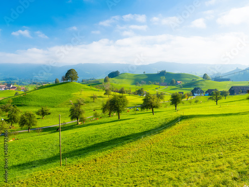 Tree on top of the hill. Landscape before sunset. Fields and pastures for animals. Agricultural landscape in summer time. High resolution photo.