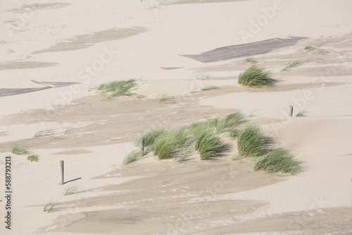 Plank footpath through the dunes seen from above
