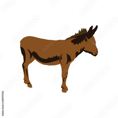 graphic of a donkey mule isolated on white background