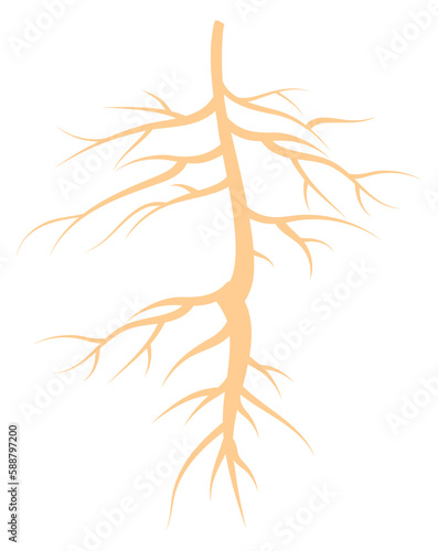 Plant root icon. Yellow growing natural shape