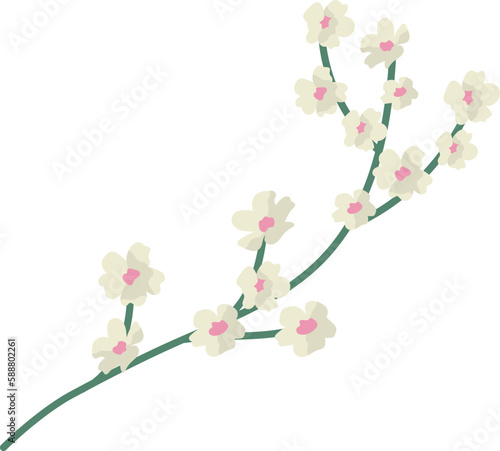 Cherry Blossom Branche isolated on transparent background. Vector flat minimalistic spring design.