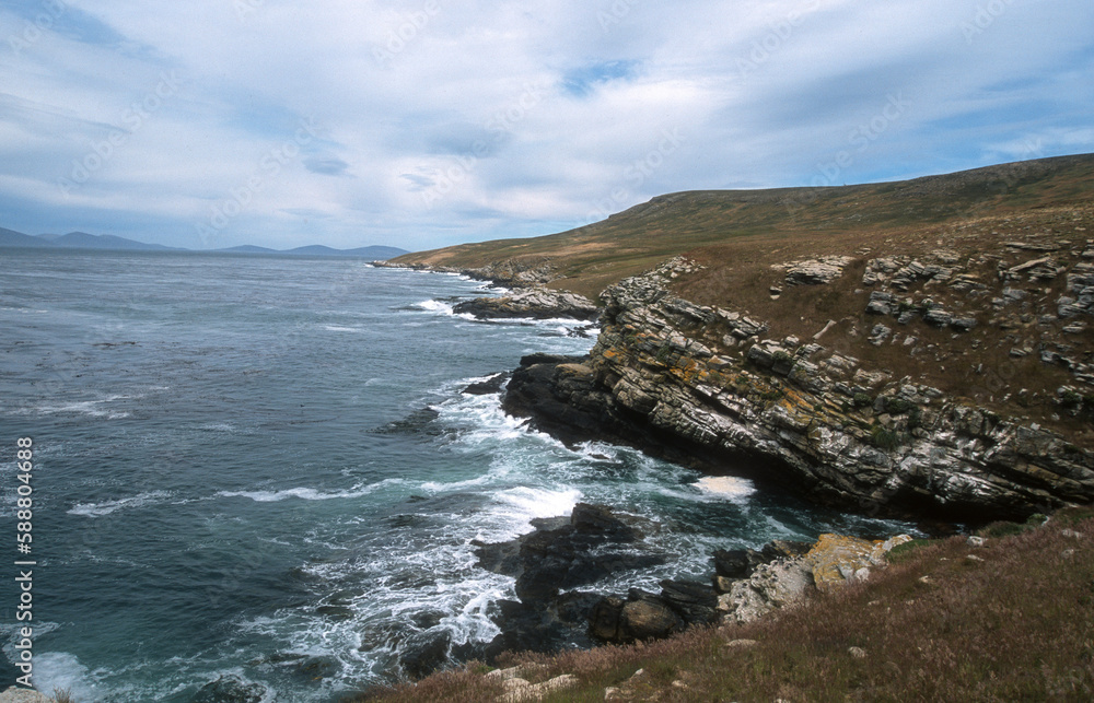 île Carcass, Iles Falkland, Malouines