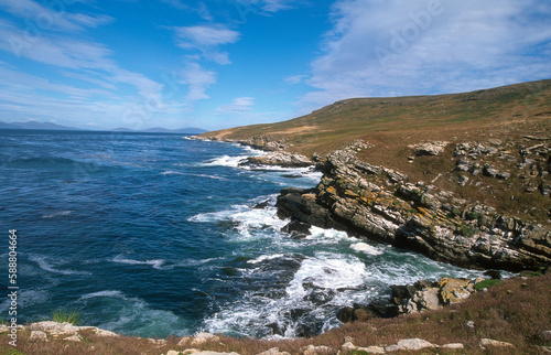 île Carcass, Iles Falkland, Malouines photo