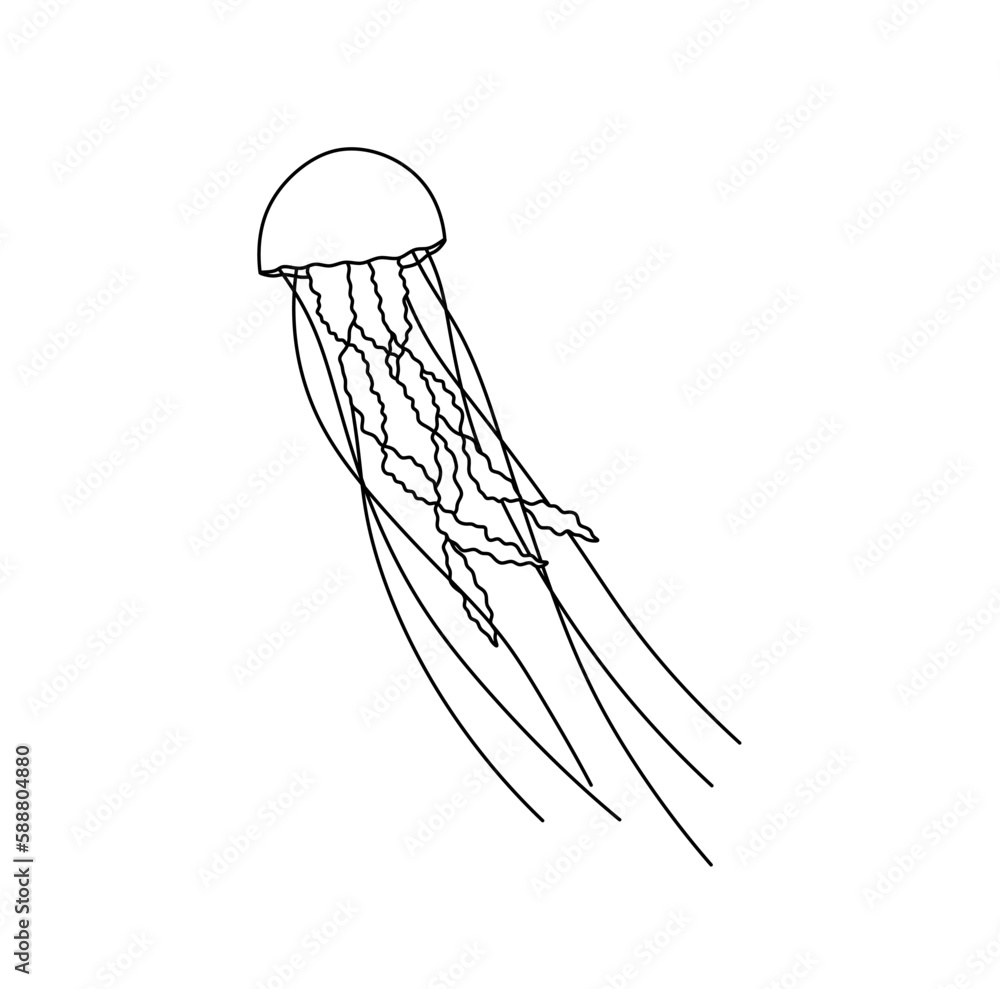 Vector isolated one single swimming floating beautiful jellyfish with long tentacles colorless black and white contour line easy drawing