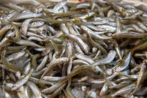 Konstfotografi fish market chioggia and sottomarina city in the venetian lagoon near venice fam
