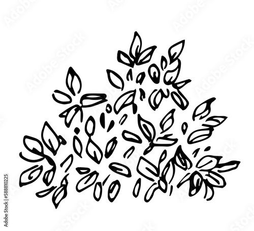 Simple black outline vector drawing. Lush shrub, vegetation and trees. Nature, summer landscape. Ink sketch.