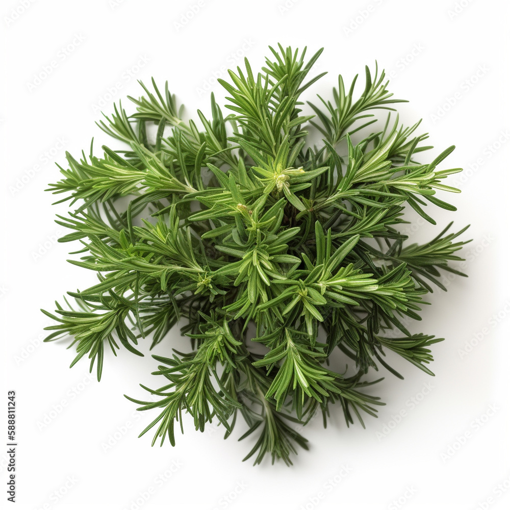 herbs, spices, greeens on white background сгенерирована искусственным интеллектом herbs, spices, greeens on white background сгенерирована искусственным интеллектом