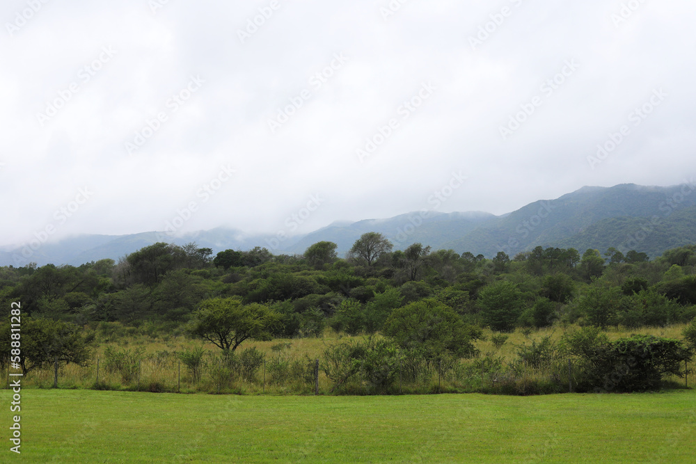 Landscape of the mountains of Córdoba, Argentina. autochthonous vegetation. Shrubs and trees with mountains in the background. Calamuchita Valley. Villa General Belgrano. Landscape of the mountains of Córdoba, Argentina. autochthonous vegetation. Shrubs and trees with mountains in the background. Calamuchita Valley. Villa General Belgrano.