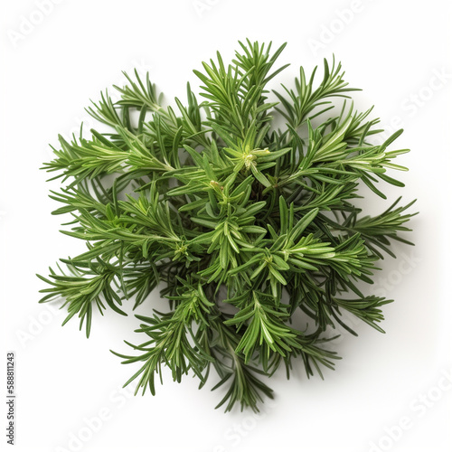 herbs  spices  greeens on white background                                                                              