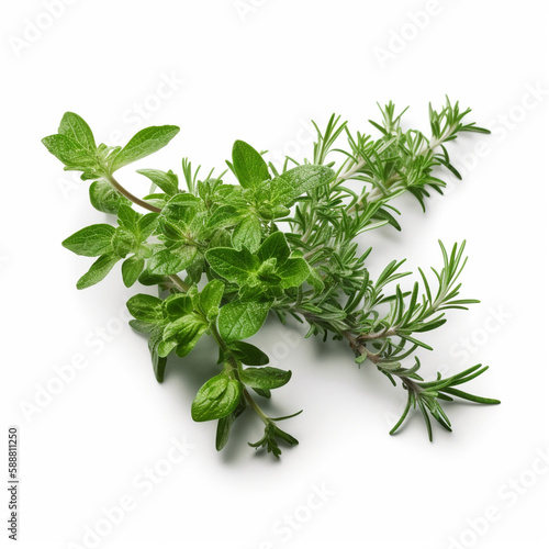 herbs, spices, greeens on white background  сгенерирована искусственным интеллектом 