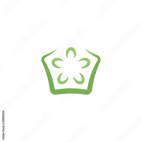 okra fruit icon logo vector