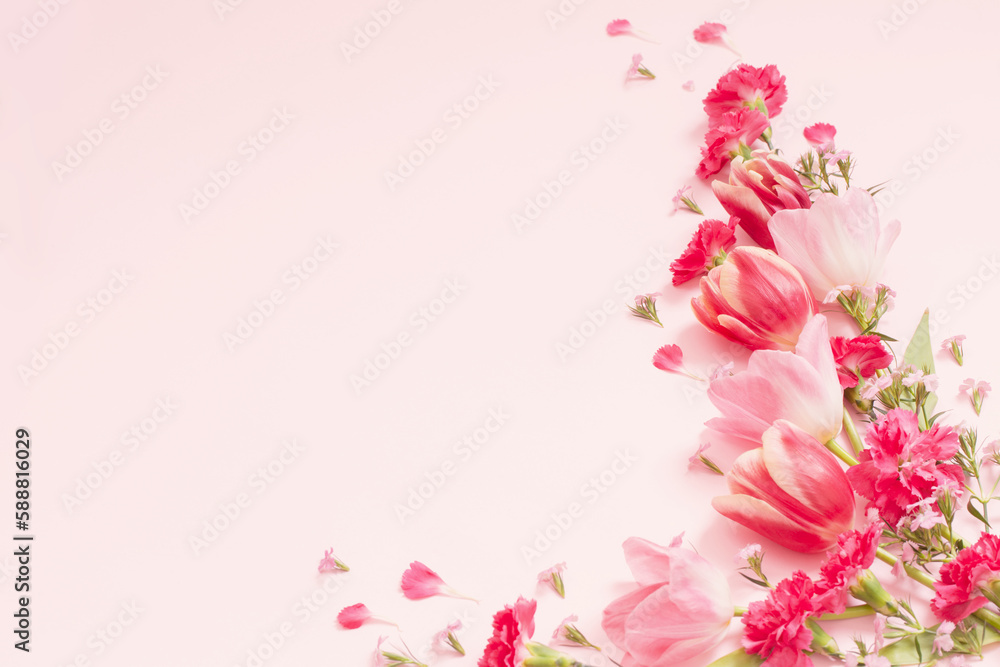 beautiful spring flowers on pink background