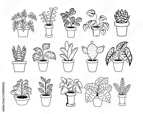 House plant vector outline sketch collection	