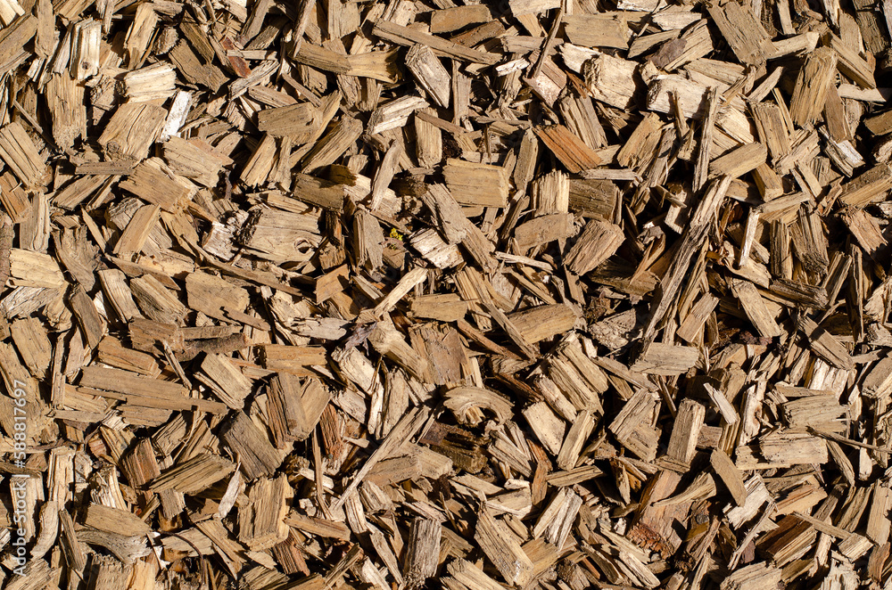 Texture of wood chips for the designer. Texture of wood chips for the designer.