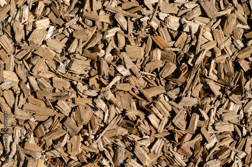 Texture of wood chips for the designer.