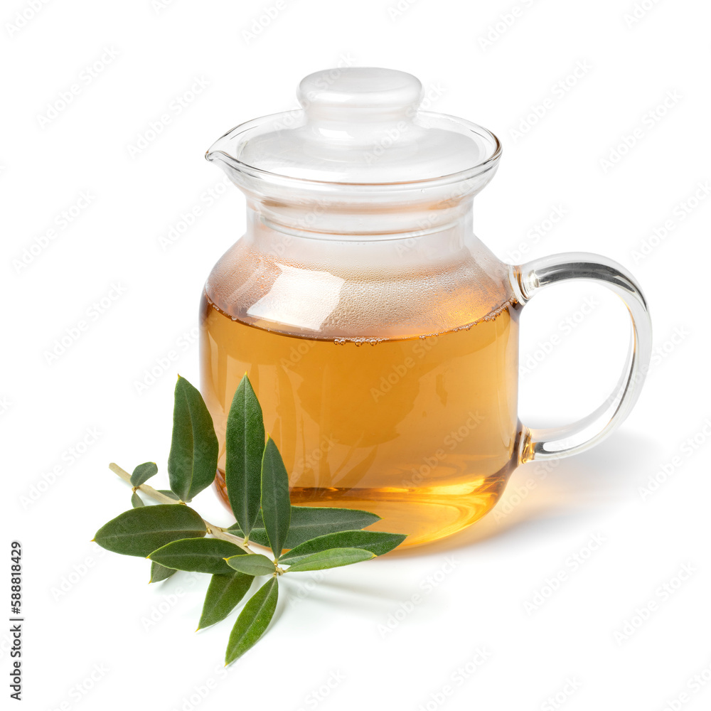 Glass tea pot with dried olive leaves tea and a fresh twig of olive leaves isolated on white background Glass tea pot with dried olive leaves tea and a fresh twig of olive leaves isolated on white background