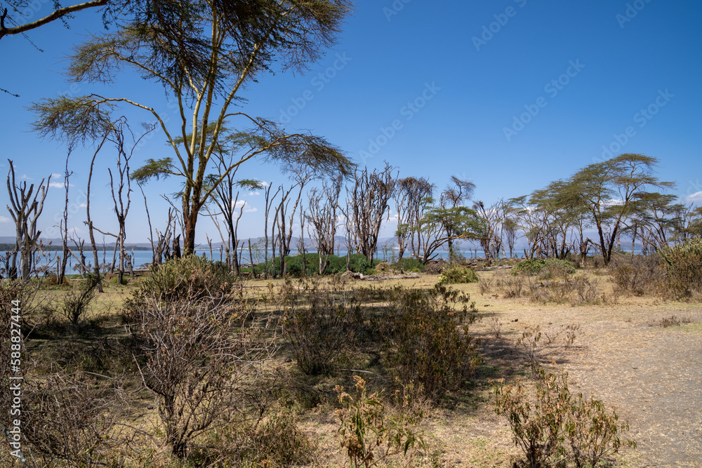 Scenery on Crescent Island on Lake Naivasha Kenya, East Africa Scenery on Crescent Island on Lake Naivasha Kenya, East Africa