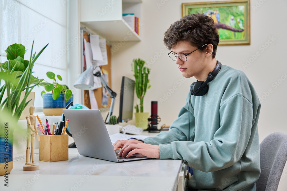 Young male college student sitting at desk at home using laptop - obrazy, fototapety, plakaty 