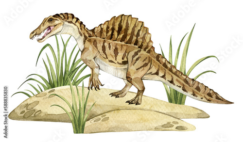 Watercolor dinosaur illustration with prehistoric landscape. Hand drawn Spinosaurus on the sand with grass. Detailed dino clipart for kids products. Children Encyclopedia of ancient animals. PNG file