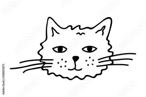 Hand drawn cat muzzle clipart. Cute pet face doodle