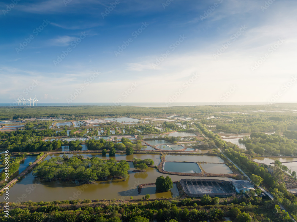 Aerial view of mangrove forest and shrimp farming in Tra Vinh province, Vietnam Aerial view of mangrove forest and shrimp farming in Tra Vinh province, Vietnam