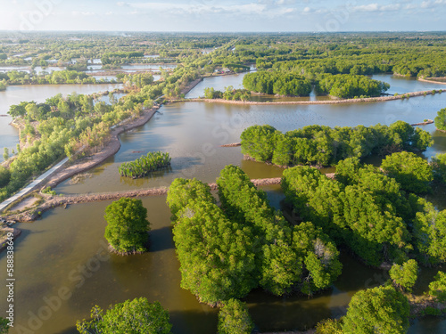 Aerial view of mangrove forest and shrimp farming in Tra Vinh province, Vietnam