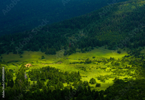 Lush Green Valley and Forested Mountain Hillside
