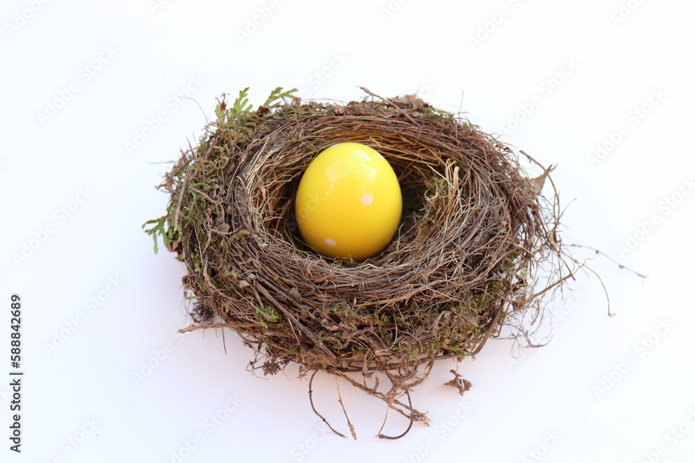 Vogelnest mit Osterei. Vogelnest mit Osterei.