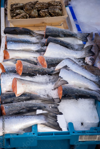 Fresh fish market on the streets of Leiden, Netherlands photo