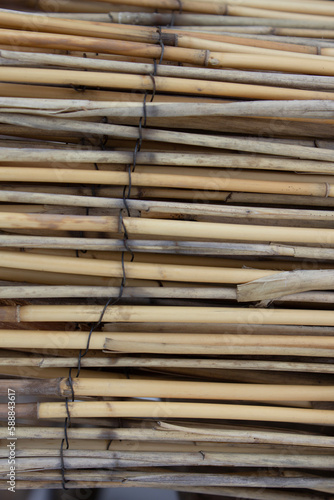 garden bamboo rustic  (ID: 588843617)