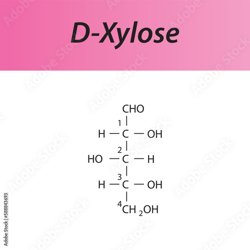 Straight chain form chemical structure of D-Xylose sugar. Scientific vector illustration on white and pink background, carbon numbering.