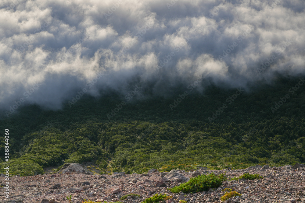 mist drifting clouds in a mountainous area, fog is over the top of a hill beside trees, mist drifting clouds in a mountainous area, fog is over the top of a hill beside trees,