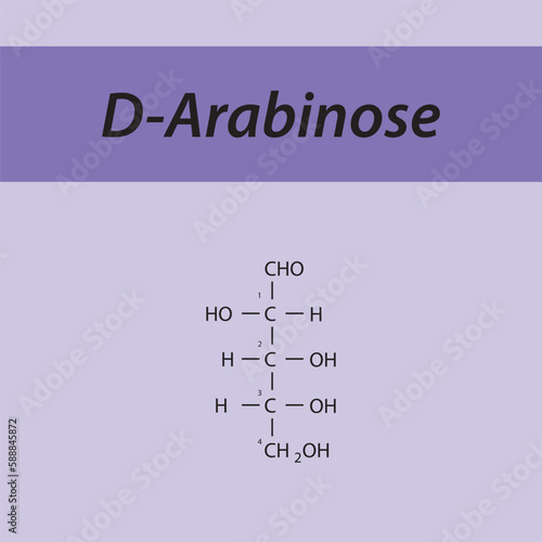 Straight chain form chemical structure of D-Arabinose sugar. Scientific vector illustration on purple background, carbon numbering.