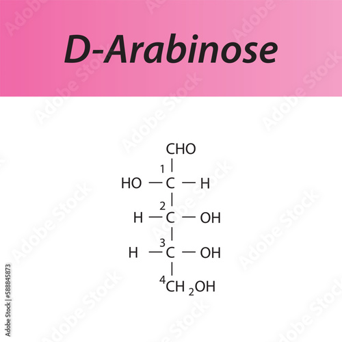 Straight chain form chemical structure of D-Arabinose sugar. Scientific vector illustration on white and pink background, carbon numbering.
