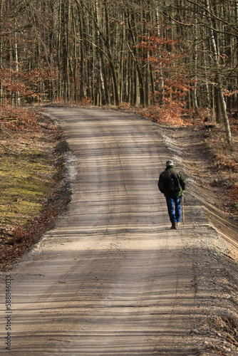 alter Mann geht auf einem Waldweg spazieren