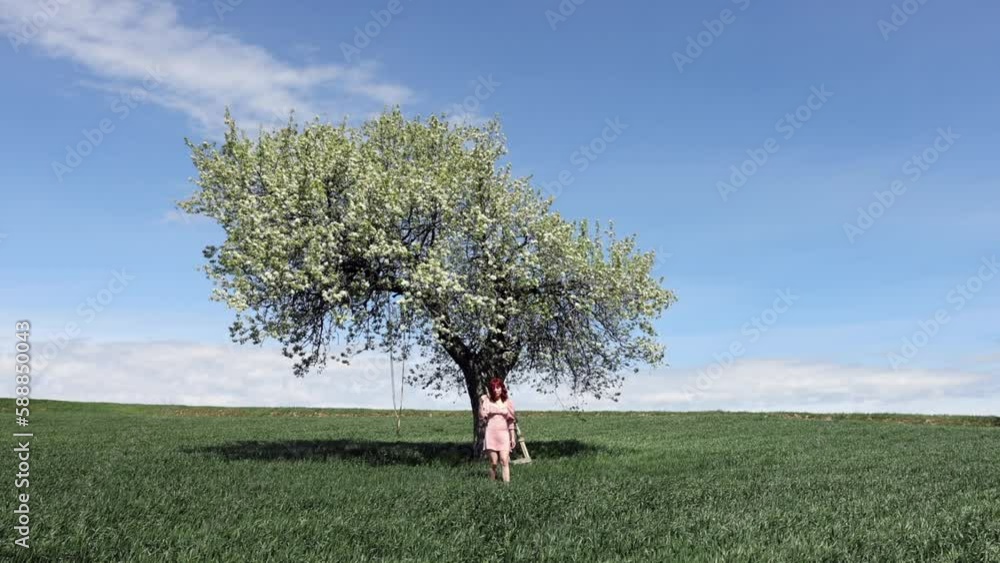 Lush white blooming branches of fruit tree under cloudy sky in spring. White flowers of blooming pear tree in wheat field and contrast of blue sky and white clouds. 4K video shooting. Lush white blooming branches of fruit tree under cloudy sky in spring. White flowers of blooming pear tree in wheat field and contrast of blue sky and white clouds. 4K video shooting.