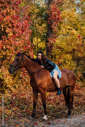 A young sexy woman lies on top of a horse. Horseback riding in the autumn forest © Ирина Санжаровская