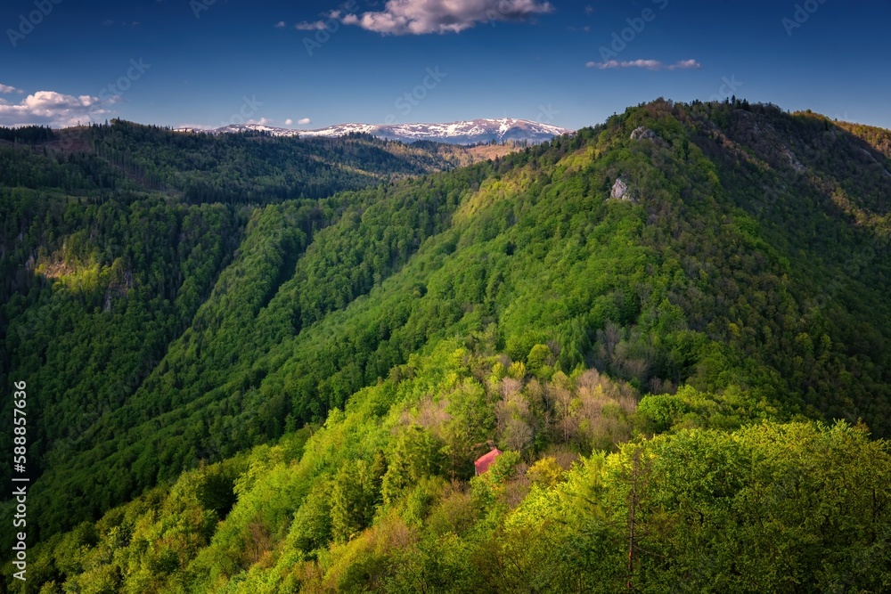 Fototapeta premium Green Mountains Photo was taken from Castle Muran in mountains Muranska planina. Green spring forest