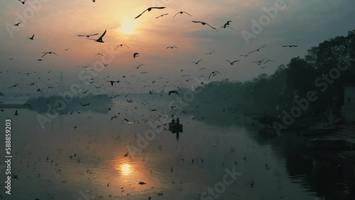 Aerial view of a boat sailing along the Yamuna river at sunset surrounded by seagulls along the coast in New Delhi, India. photo