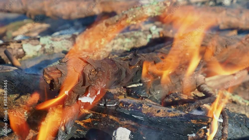 Close up shot of a camp fire in Beavers Bend State Park Close up shot of a camp fire in Beavers Bend State Park