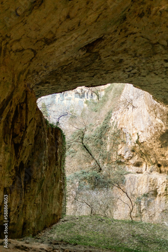 Mountain Cave with a tree