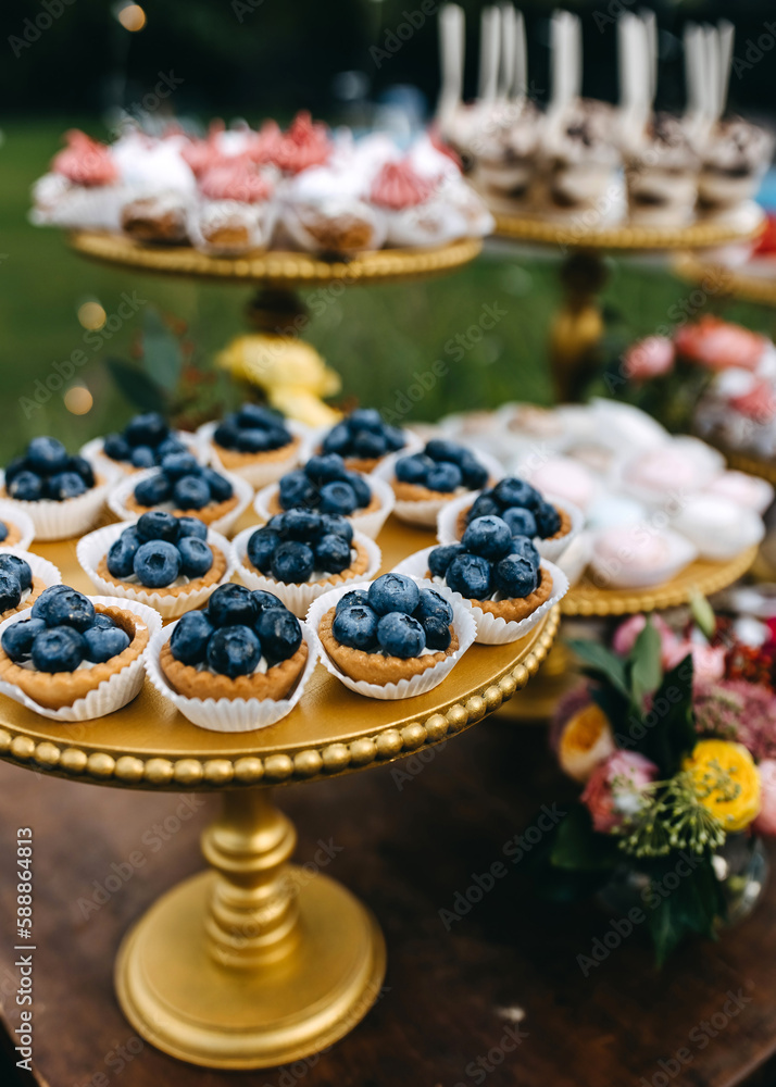 Candy bar at a party. Sweet table with blueberry cupcakes and different handmade desserts.