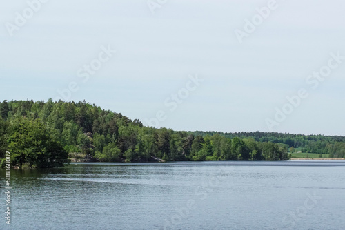 lake and forest